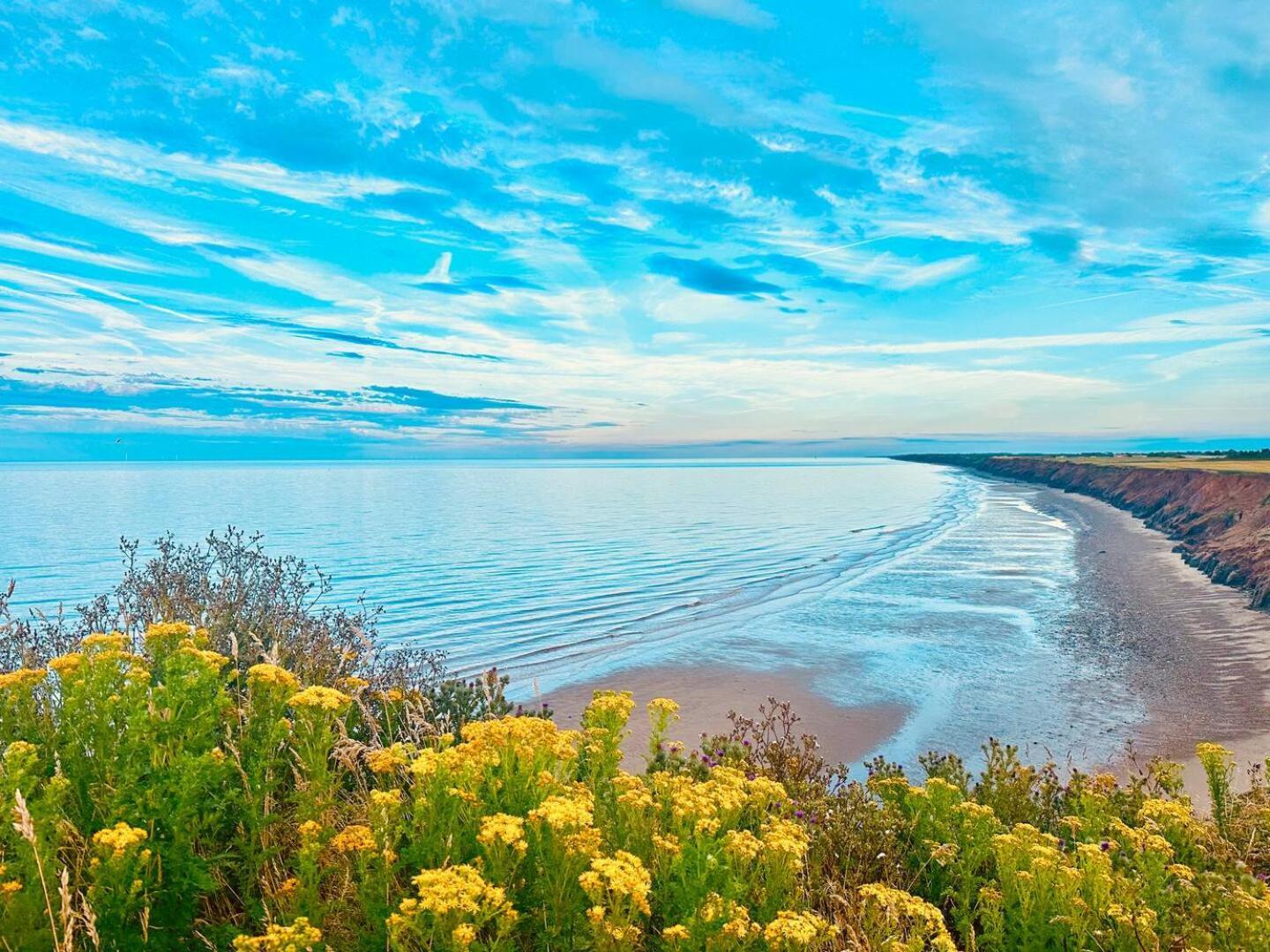 Farm stay Eastfield Leven (East Riding of Yorkshire)