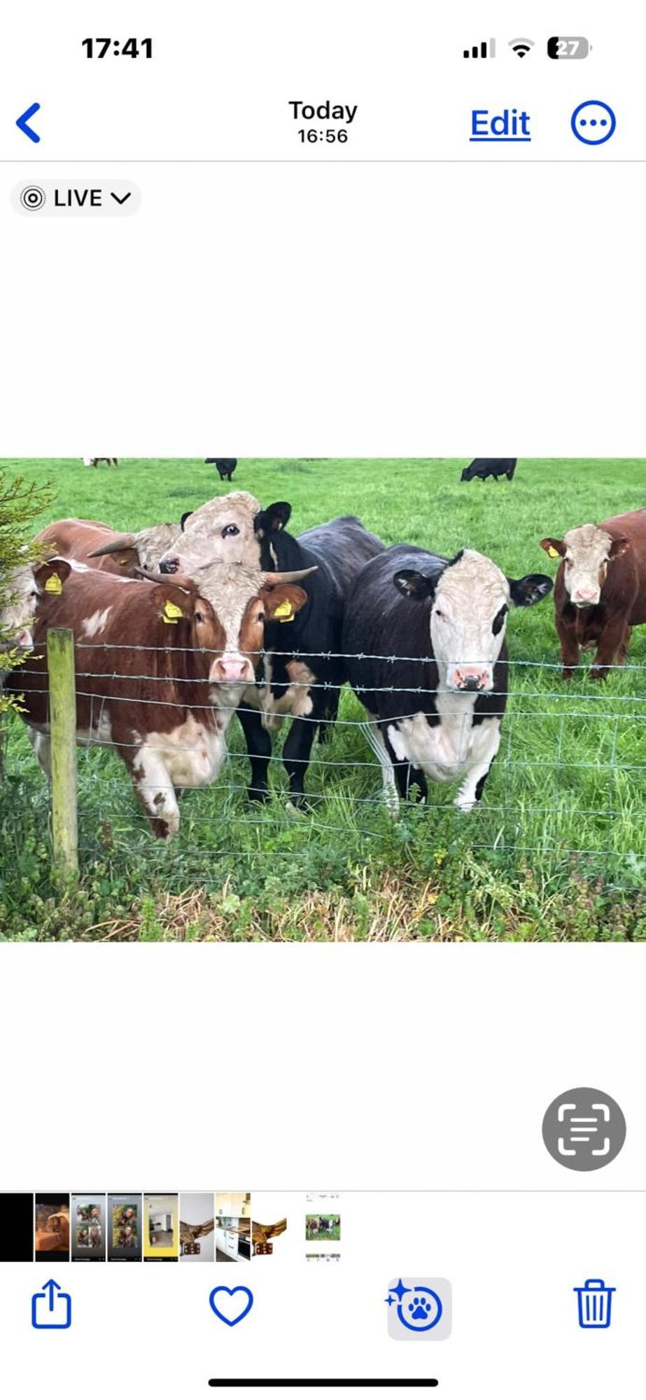 Farm stay Eastfield Leven (East Riding of Yorkshire)